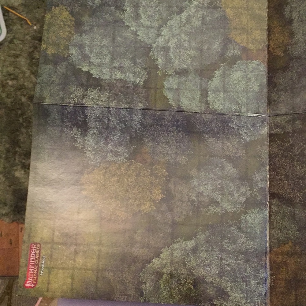 Pathfinder flip-mat classics - Picture 5 of 14